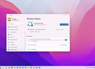 How to get the Windows 11 2024 Update (version 24H2) release before anyone else windows